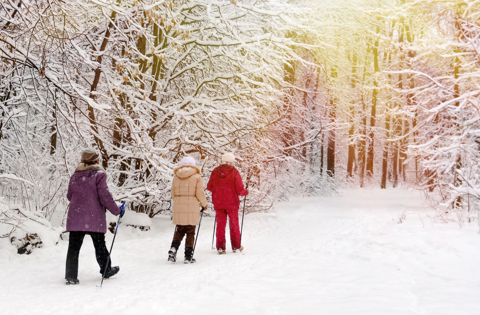 A group of seniors enjoy a beautiful winter walk in the woods.